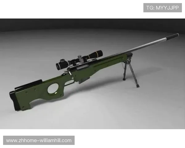 以狙击枪为武器进行精准打击的游戏体验与策略分析